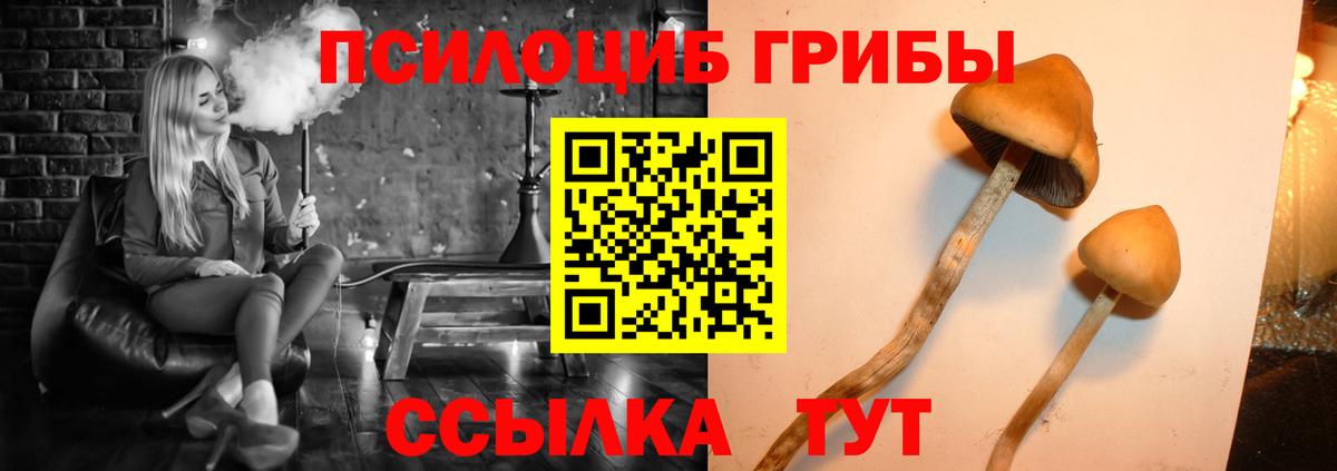 Галлюциногенные грибы мицелий Сергиев Посад